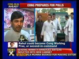 Rahul for first 10 positions in govt: BJP - NewsX