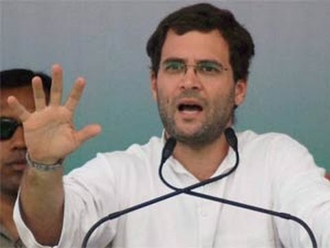 Rahul Gandhi to head Congress campaign for 2014 elections - NewsX