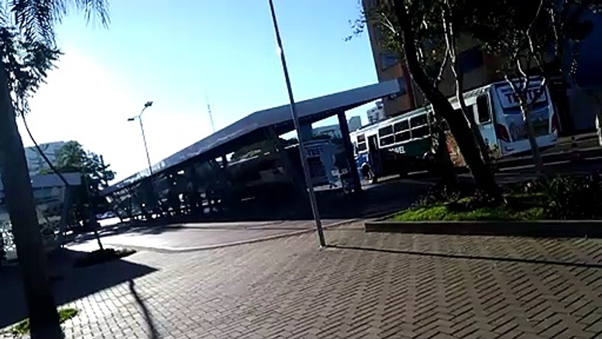 Internauta filma ônibus do mesmo itinerário transitando juntos
