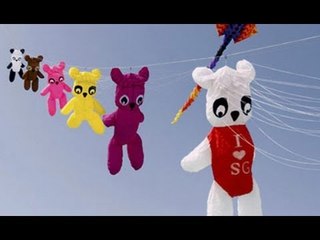 India hosts 25th International kite festival