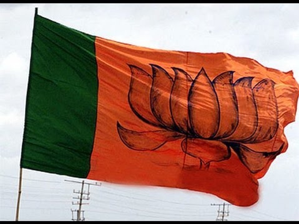 BJP downplays Rahul Gandhi's elevation