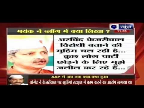 Allegations against Yogendra Yadav, Bhushan should have been probed, says AAP leader