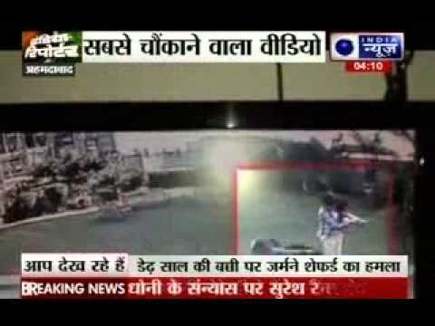 Boy fights off German shepherd dog to save baby sister in Ahmedabad