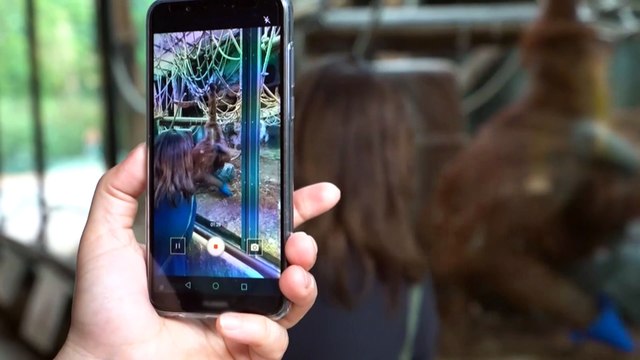 EXCLU AVANT-PREMIERE: Les équipes de Zone Interdite sur M6 dans les coulisses de la Ménagerie du Jardin des Plantes de Paris - VIDEO