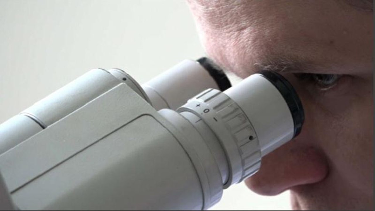 H1n1 und die impfgegner: grippewelle in europa