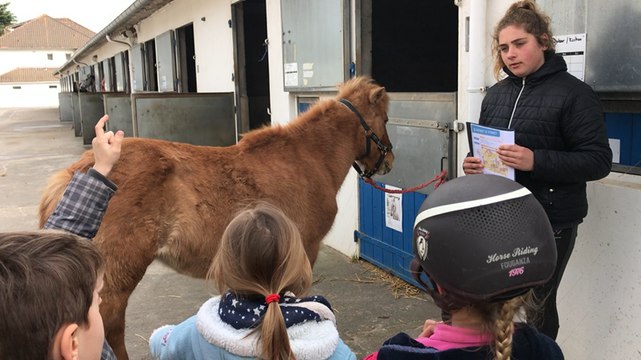 L’école du poney pour les classes CE1 de La Baule