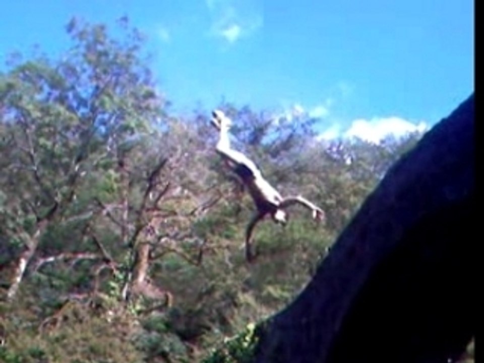 Petit saut dans l'aveyron