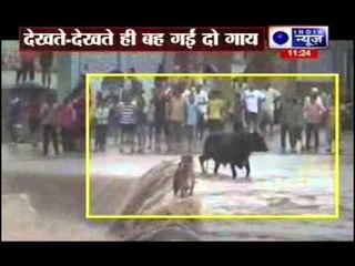 Heavy rains in Gir Somnath district, Gujarat