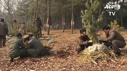 North Koreans mark national tree planting day