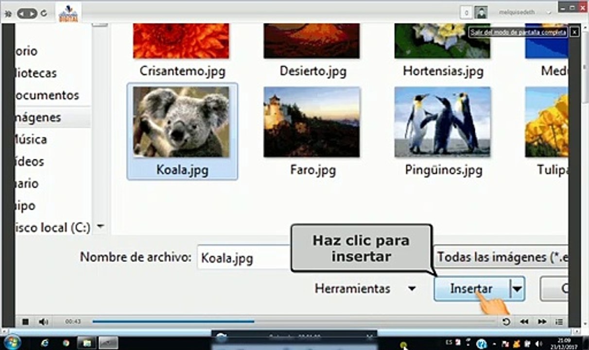 18-INSERTAR UN ALBUN DE FOTOS
