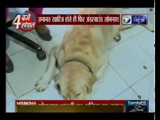 AAP MLA Somnath Bharti missisng as police raids home and office