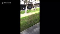 Terrifying moment report of gunfire causes mass panic at San Diego college