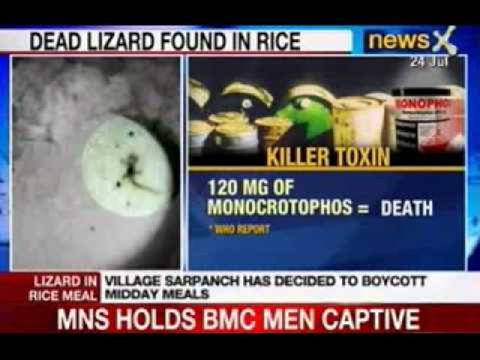 Bihar Midday Meal: WHO flashed red light