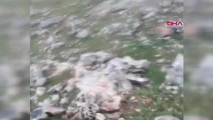 Şırnak Yaralı Çobanı 6 Kilometre Sedye ile Taşıdılar