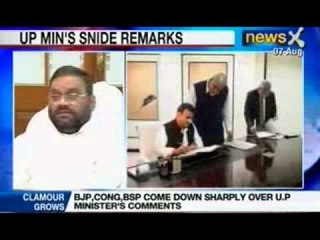 IAS Durga Shakti: BJP, Cong, BSP come down sharply over U.P Minister's comments