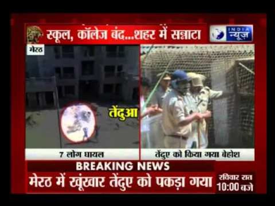 7 injured in leopard attack in Meerut