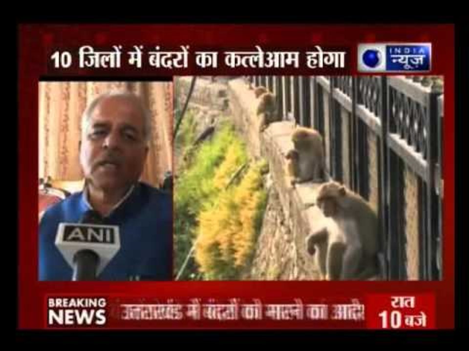 Centre government nod to kill monkeys in Himachal Pradesh