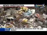 NewsX Special Investigation: Mumbai gearing up to save swathes of mangroves