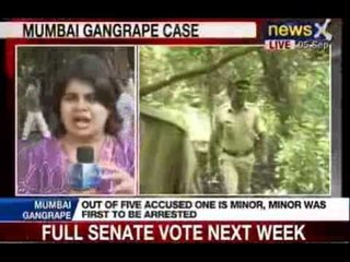 Mumbai Gangrape Case: Four accused sent to judicial custody