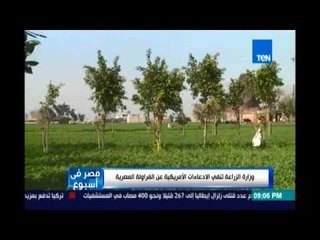 الزراعة تنفي الإدعاءات الأمريكية عن الفراولة المصرية وإصابة أمريكان بالكبد الوبائي نتيجة تناولها