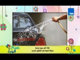 صباح الورد - 100الف جنيه غرامة عقوبة رش المياه فى الشارع وغسيل السيارات