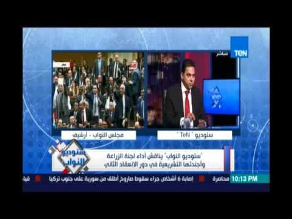 الغطاطي :إحنا دولة معندناش قمح أرجوت في القمح ليه أخاطر واروح أستورد قمح في نسبة أرجوت