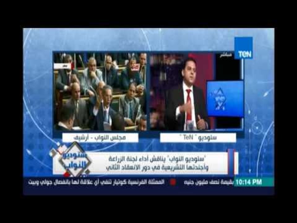 النائب إيهاب الغطاطي يكشف النقاط التي إستندت عليها الحكومة لإعادة إستيراد القمح الروسي