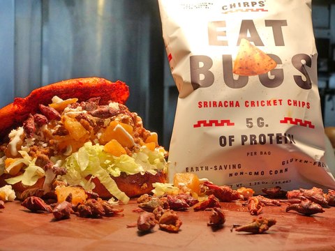 TOASTED GRASSHOPPERS! Phoenix Suns are 1st NBA team to sell chapulines - ABC15 Digital