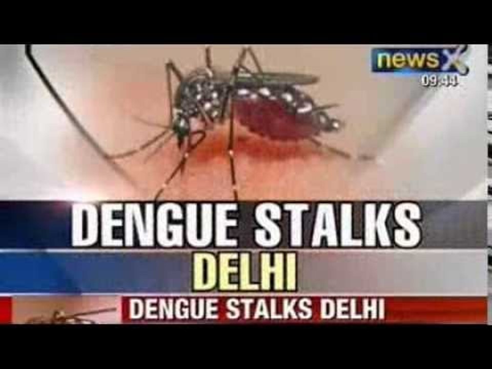News X : 1,355 dengue cases in Delhi, 50 percent rise in 96 hours