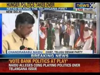 Telangana issue: Chandrababu Naidu begins fast in Delhi