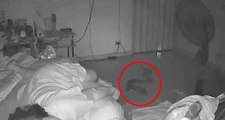 Dev Pitonun Uyuyan Kadını Isırdığı Görüntüler Saniye Saniye Kaydedildi