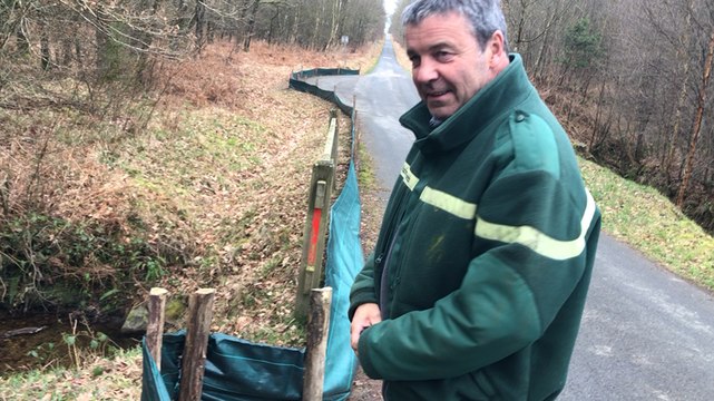 Un dispositif pour sauver la vie des batraciens