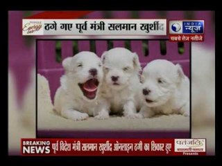 Andar ki Baat: Senior Cong leader Salman Khurshid tries to buy puppies online, duped of Rs 59,000