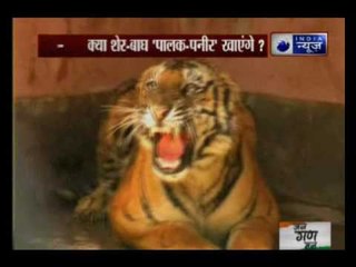 Special Report: Reality check of Yogi's 'operation slaughterhouse'