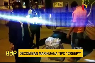 Policía de Carretera decomisa marihuana tipo “Creepy” en Áncash