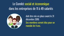 Le Comité social et économique dans les entreprises de 11 à 49 salariés