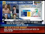Assembly Election 2013: Exit polls surprises the country, part 4 - NewsX