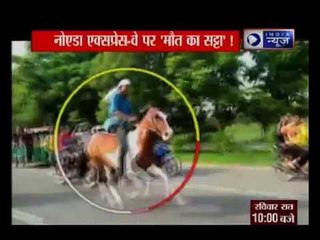 Viral Video: Horse racing on Noida expressway