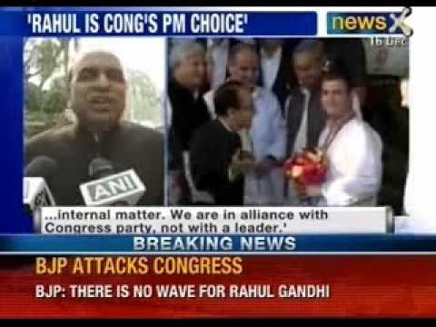 NewsX : Congress may declare Rahul Gandhi its Prime minister nominee on Jan 17