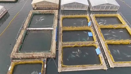 Russie : les "prisons d'orques" bientôt fermées ?