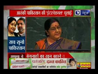 हम गरीबी से लड़ रहे हैं, पाकिस्तान हमसे लड़ रहा है' — सुषमा स्वाराज, विदेश मंत्री