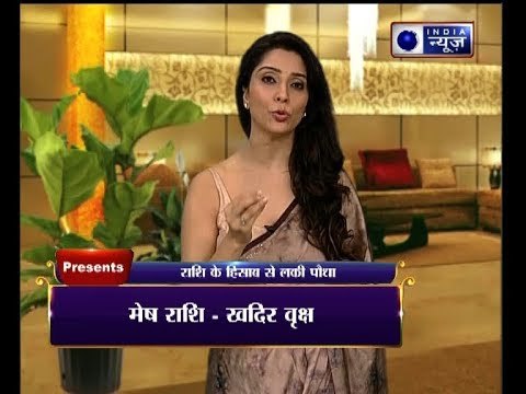 घर में जरूर लगाएं ये पौधा, हर बुरे ग्रह का प्रभाव होगा बेअसर : Family Guru