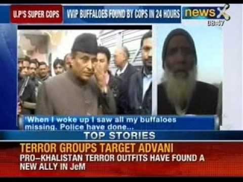 VVIP buffaloes found by cops in 24 hours, now more buffaloes go missing in UP - NewsX
