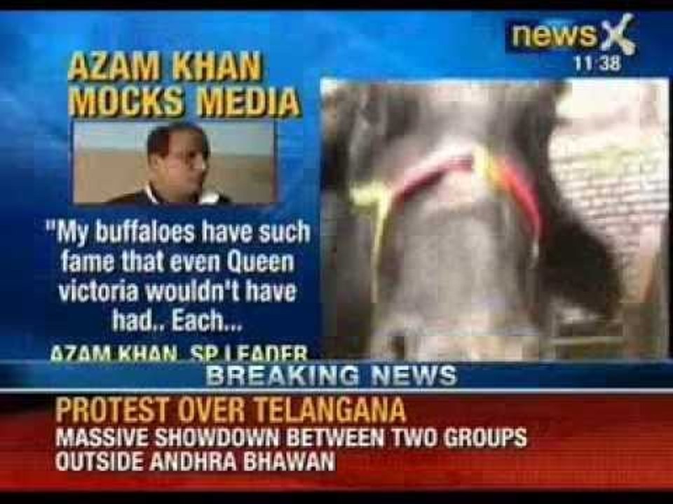 News X: Azam Khan has more famous buffaloes than Queen Victoria of England