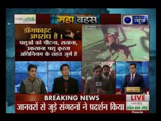 Delhi, हरियाणा और पंजाब में चल रहा 'डॉग फाइट' के खूनी खेल से करोड़ों का कारोबार: MahaBahas