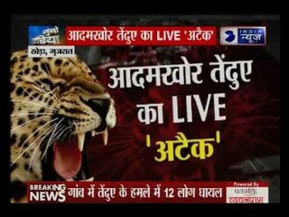 आदमखोर तेंदुए की दहशत की बेहद डरावनी तस्वीरें: Suno India