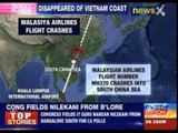 Malaysian plane plunges into the sea