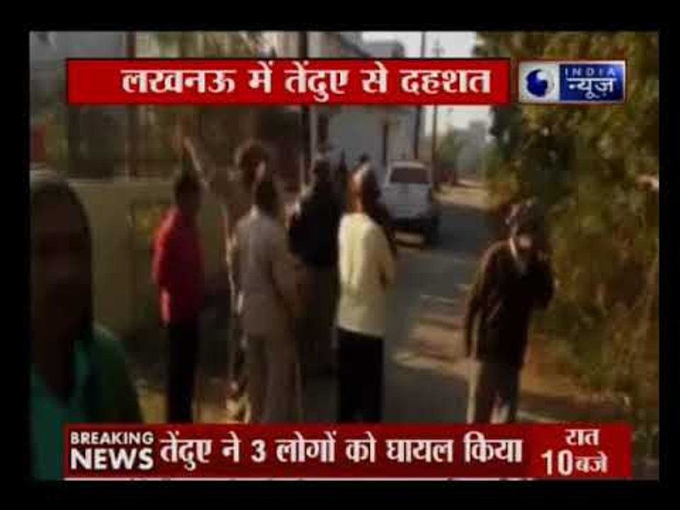 राजधानी लखनऊ मे थाना आशियाना क्षेत्र के औरंगाबाद बाद गाँव मे देखा गया तेंदुवा