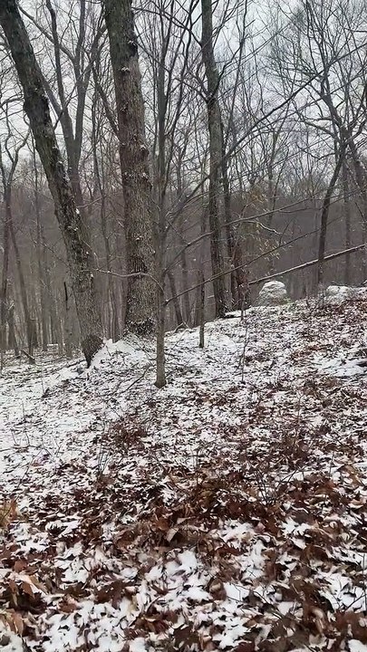 Brian Ghilliotti: Conducting An Initial Investigation of a Sacred Lithic Circle Site in Essex, CT