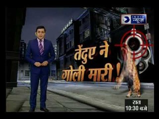 यूपी पुलिस ने किया तेंदुए का एनकाउंटर,